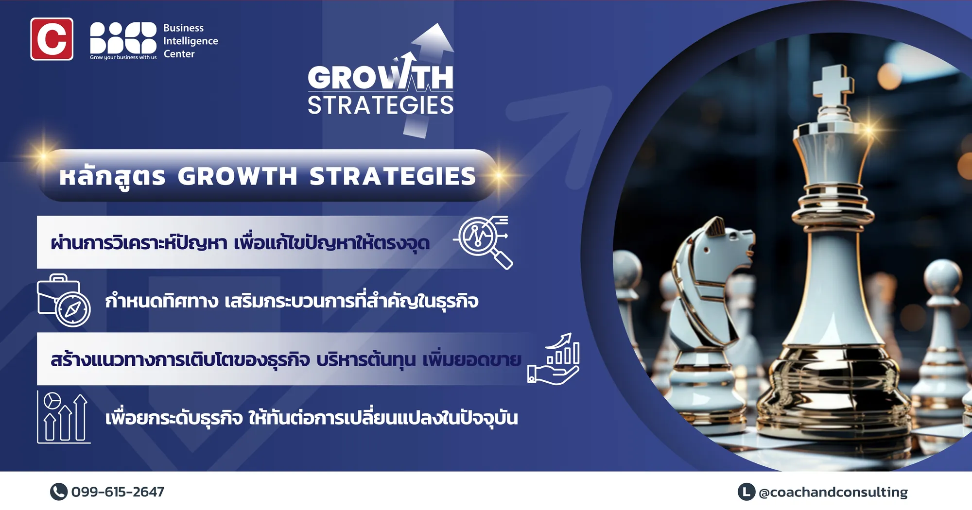 Growth Strategies Program