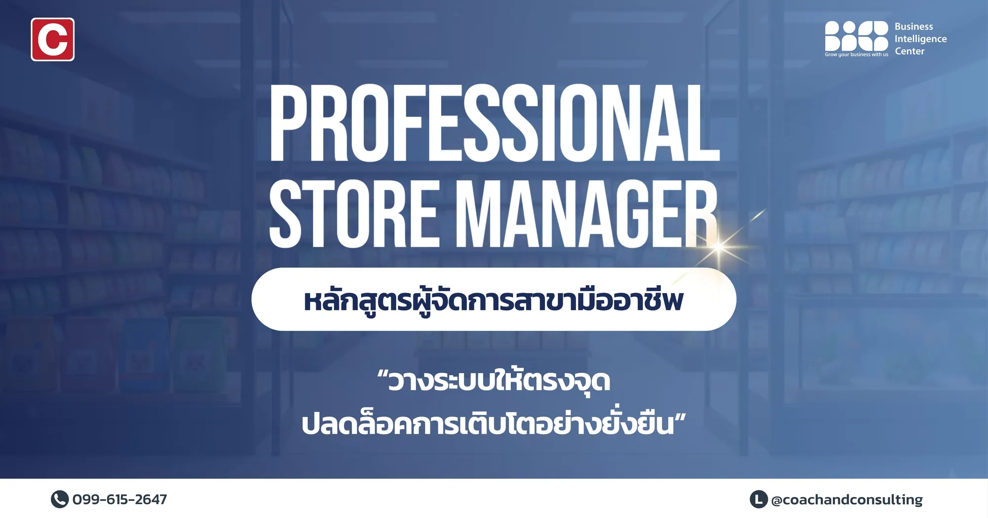 Professional Store Manager